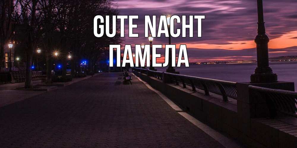Открытка на каждый день с именем, Памела Gute Nacht фонари на фоне реки Прикольная открытка с пожеланием онлайн скачать бесплатно 