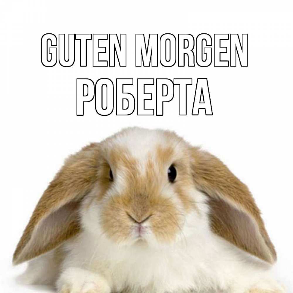 Открытка на каждый день с именем, Роберта Guten Morgen прикольные открытки на каждый день Прикольная открытка с пожеланием онлайн скачать бесплатно 