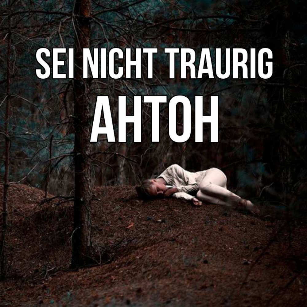 Открытка на каждый день с именем, Антон Sei nicht traurig лес Прикольная открытка с пожеланием онлайн скачать бесплатно 