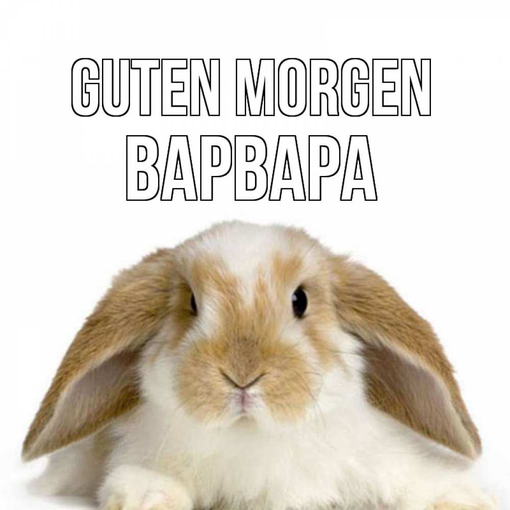 Открытка на каждый день с именем, Варвара Guten Morgen прикольные открытки на каждый день Прикольная открытка с пожеланием онлайн скачать бесплатно 