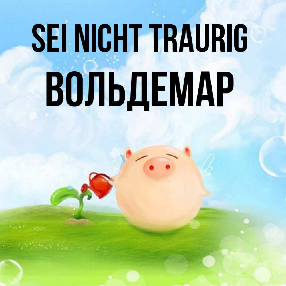 Открытка на каждый день с именем, Вольдемар Sei nicht traurig поливает цветок порося Прикольная открытка с пожеланием онлайн скачать бесплатно 