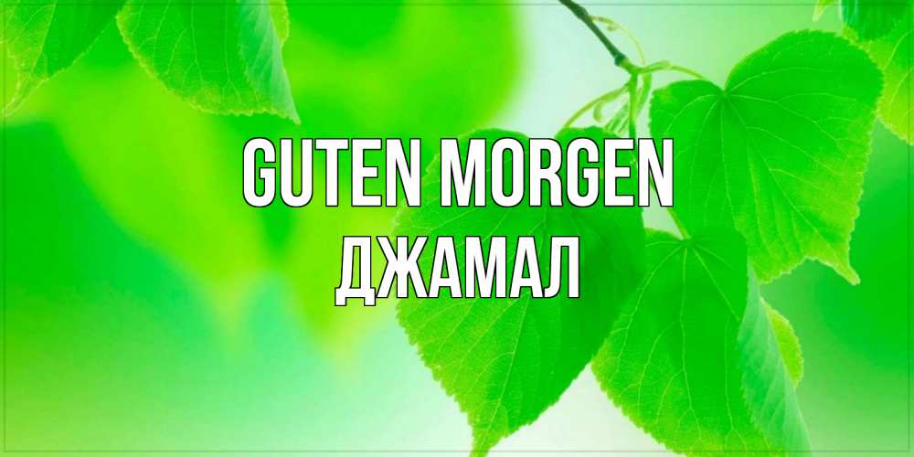 Открытка на каждый день с именем, Джамал Guten Morgen доброе утро с березовыми листьями Прикольная открытка с пожеланием онлайн скачать бесплатно 