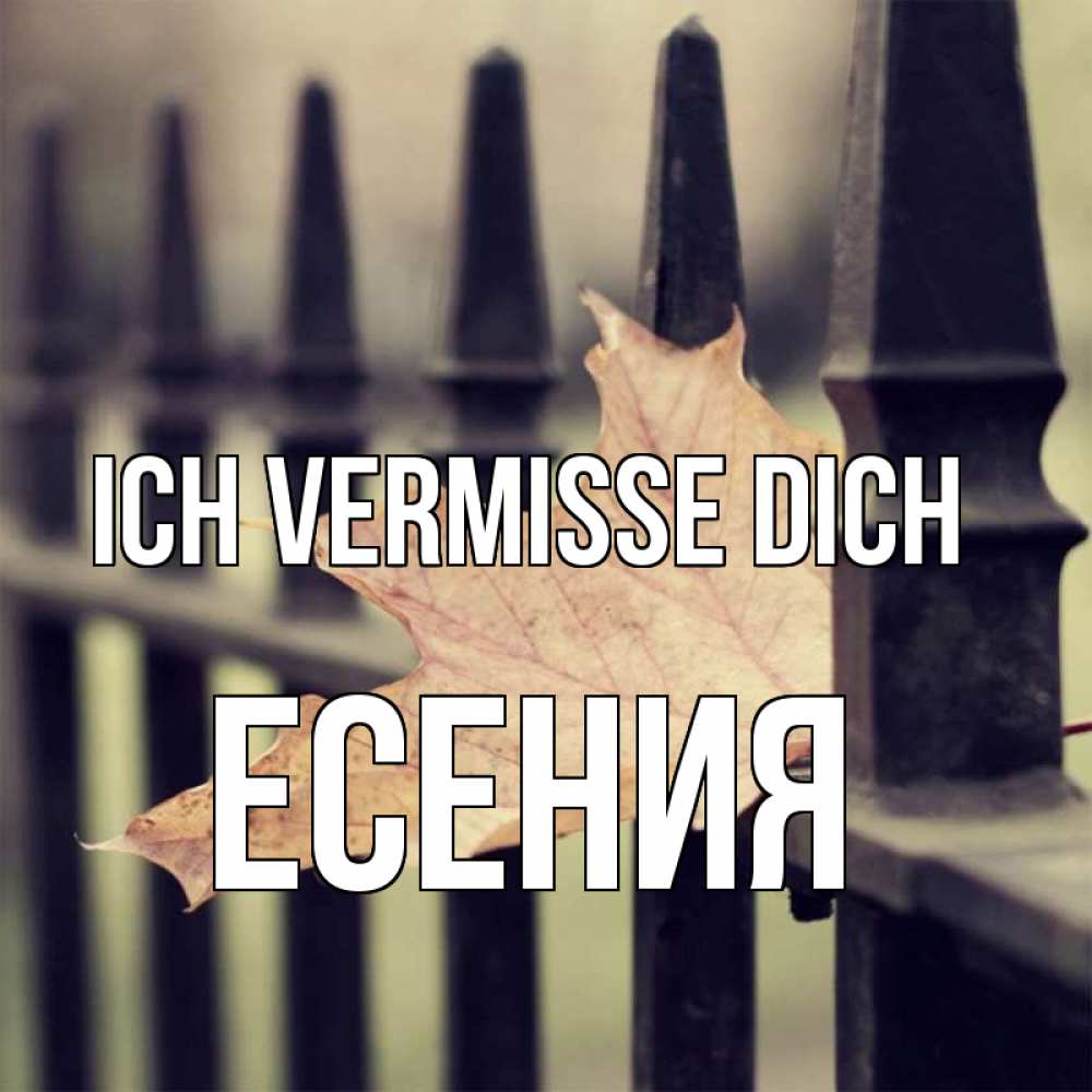 Открытка на каждый день с именем, Есения Ich vermisse dich очень скучно Прикольная открытка с пожеланием онлайн скачать бесплатно 