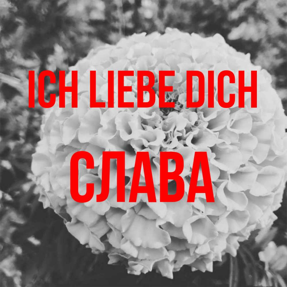 Открытка на каждый день с именем, Слава Ich liebe dich подпись Прикольная открытка с пожеланием онлайн скачать бесплатно 
