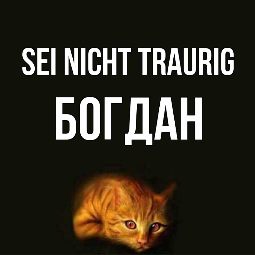 Открытка на каждый день с именем, Богдан Sei nicht traurig лежащий кот в темноте Прикольная открытка с пожеланием онлайн скачать бесплатно 