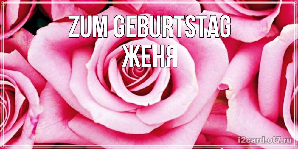 Открытка на каждый день с именем, Женя Zum Geburtstag открытка с розовой розой на день рождения Прикольная открытка с пожеланием онлайн скачать бесплатно 