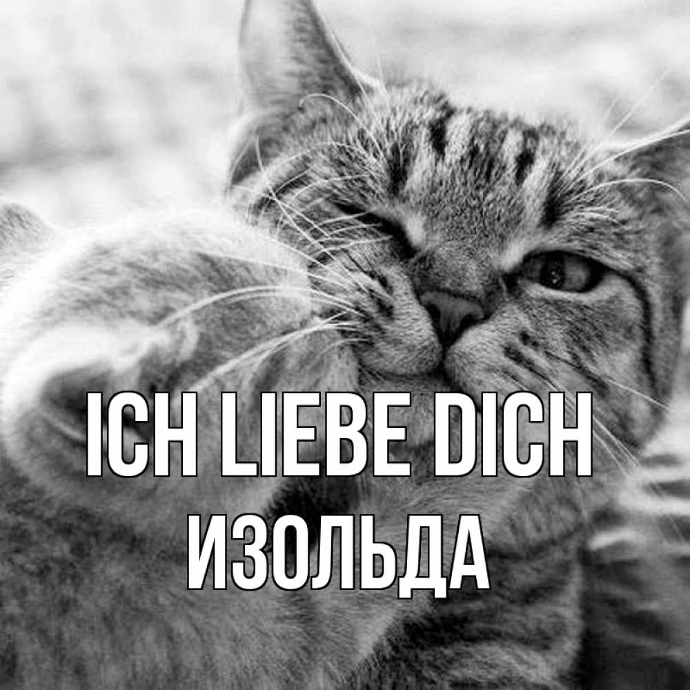 Открытка на каждый день с именем, Изольда Ich liebe dich коты Прикольная открытка с пожеланием онлайн скачать бесплатно 