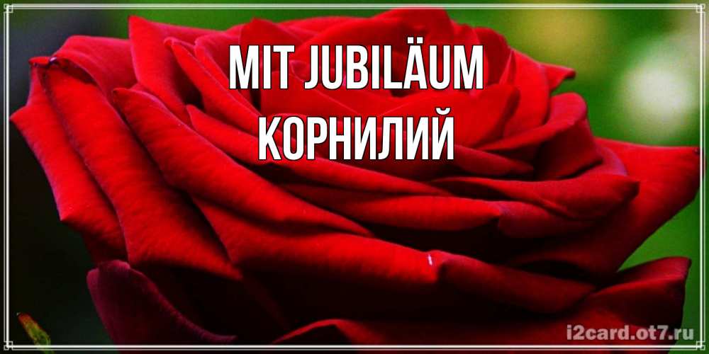 Открытка на каждый день с именем, Корнилий Mit Jubiläum розочка очень красивая Прикольная открытка с пожеланием онлайн скачать бесплатно 