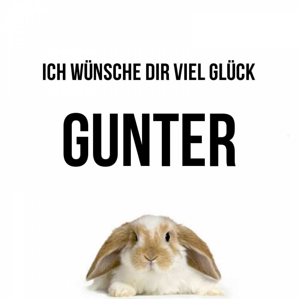 Открытка на каждый день с именем, Gunter Ich wünsche dir viel Glück открытки с произвольным текстом который можно вставить в открытку и создать ее самостоятельно бесплатно онлайн Прикольная открытка с пожеланием онлайн скачать бесплатно 