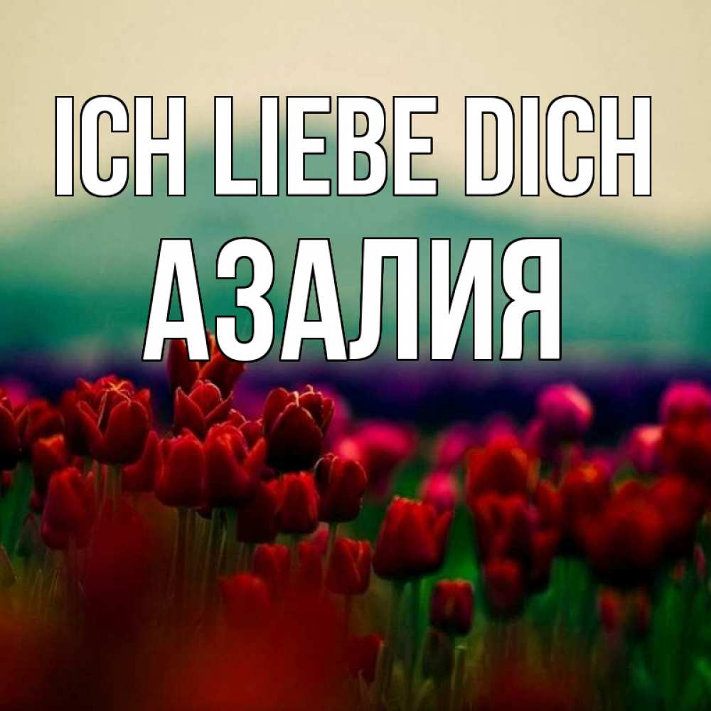 Открытка на каждый день с именем, Азалия Ich liebe dich тюльпаны 4 Прикольная открытка с пожеланием онлайн скачать бесплатно 