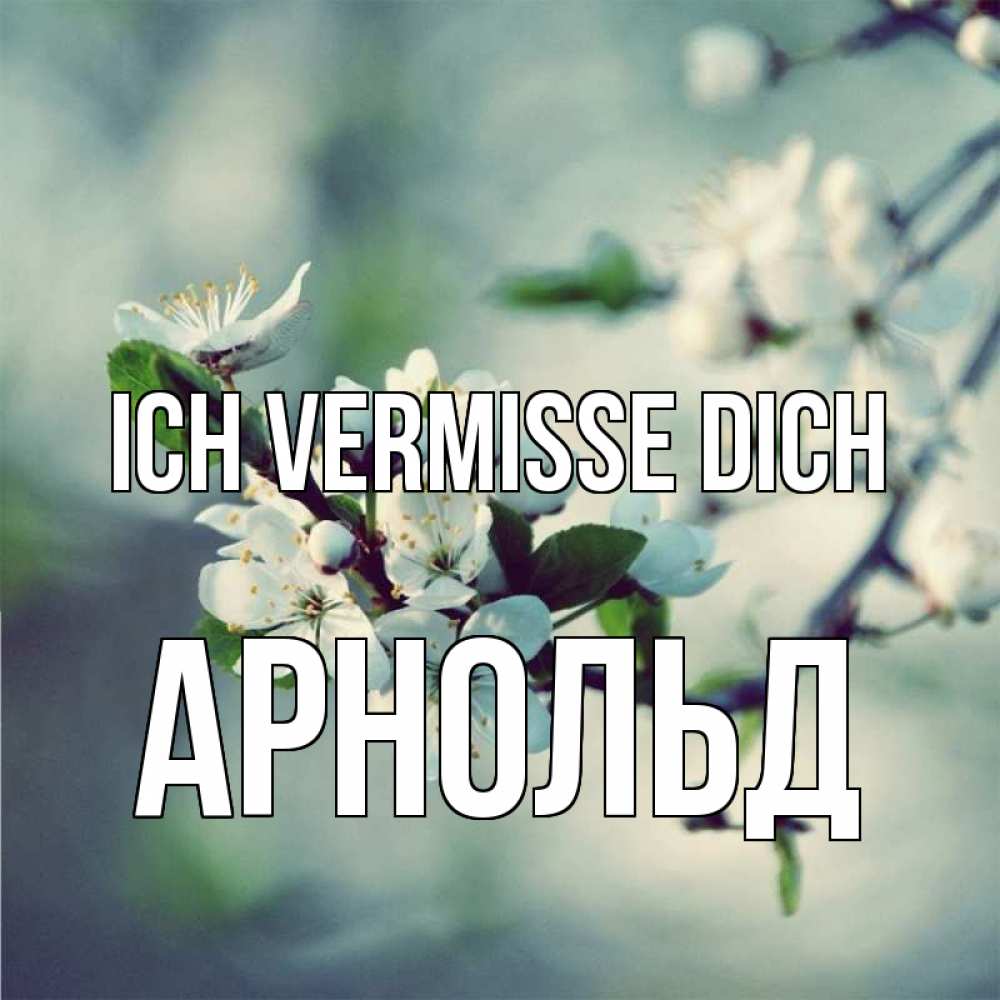 Открытка на каждый день с именем, Арнольд Ich vermisse dich весна Прикольная открытка с пожеланием онлайн скачать бесплатно 