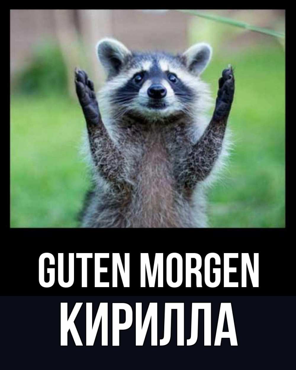 Открытка на каждый день с именем, Кирилла Guten Morgen хорошее настроение утречком Прикольная открытка с пожеланием онлайн скачать бесплатно 