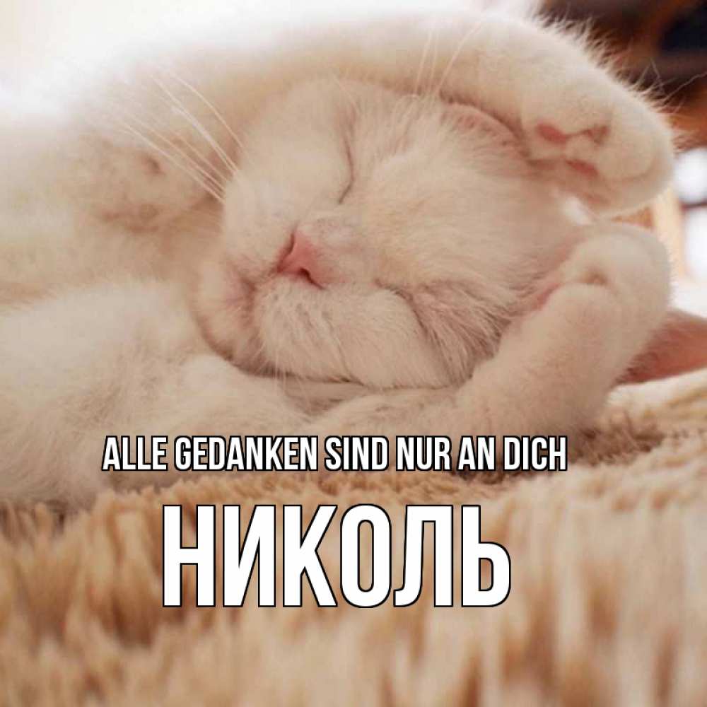 Открытка на каждый день с именем, Николь Alle Gedanken sind nur an dich для любимой девушки милота Прикольная открытка с пожеланием онлайн скачать бесплатно 