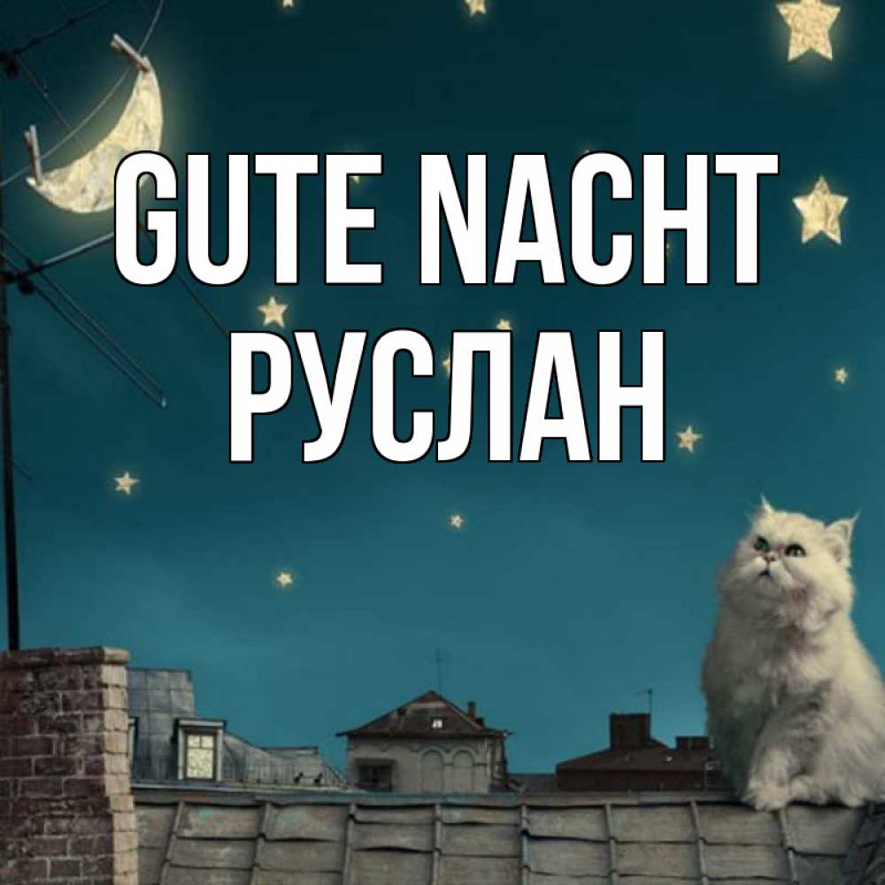 Открытка на каждый день с именем, Руслан Gute Nacht белый кот сидит на крыше Прикольная открытка с пожеланием онлайн скачать бесплатно 