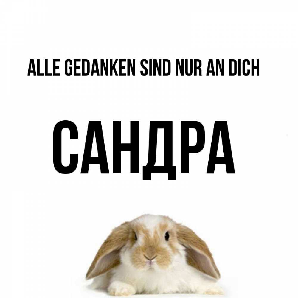 Открытка на каждый день с именем, Сандра Alle Gedanken sind nur an dich подписать своими руками онлайн Прикольная открытка с пожеланием онлайн скачать бесплатно 