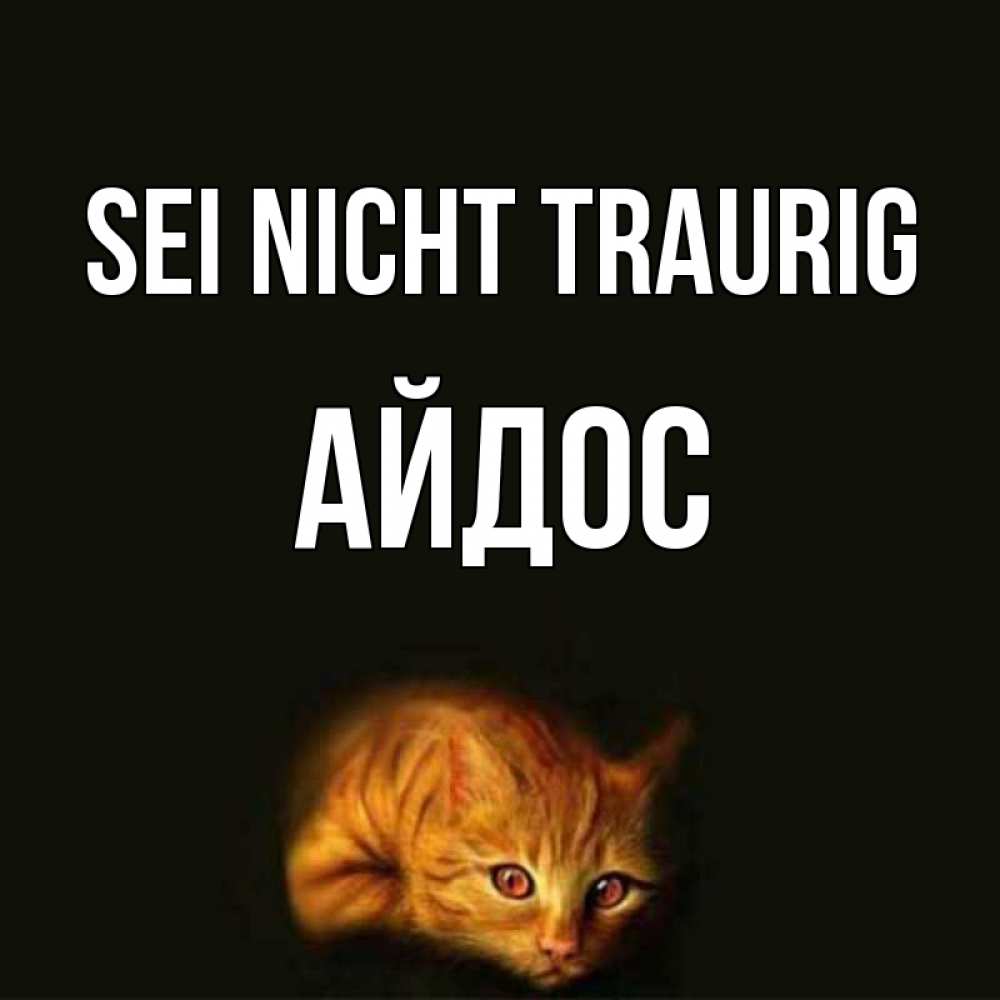 Открытка на каждый день с именем, Айдос Sei nicht traurig лежащий кот в темноте Прикольная открытка с пожеланием онлайн скачать бесплатно 