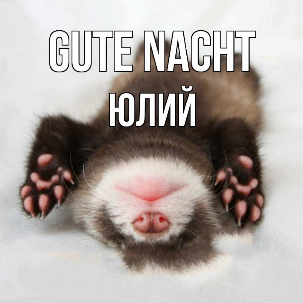 Открытка на каждый день с именем, Юлий Gute Nacht зверек Прикольная открытка с пожеланием онлайн скачать бесплатно 