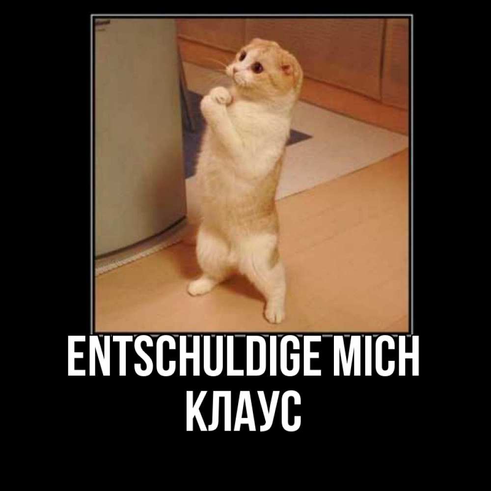 Открытка на каждый день с именем, Клаус Entschuldige mich открытка с милым несчастным котиком просящим прощения Прикольная открытка с пожеланием онлайн скачать бесплатно 