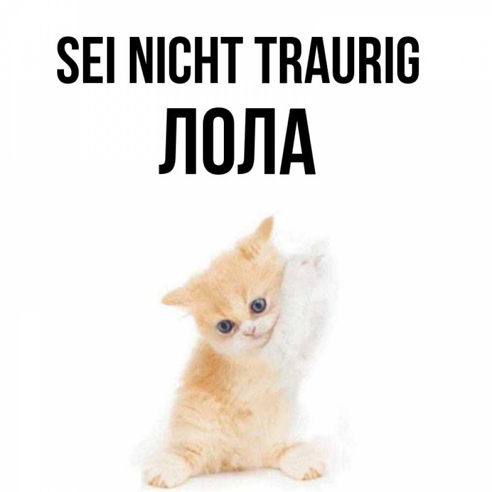 Открытка на каждый день с именем, Лола Sei nicht traurig просящий кот Прикольная открытка с пожеланием онлайн скачать бесплатно 