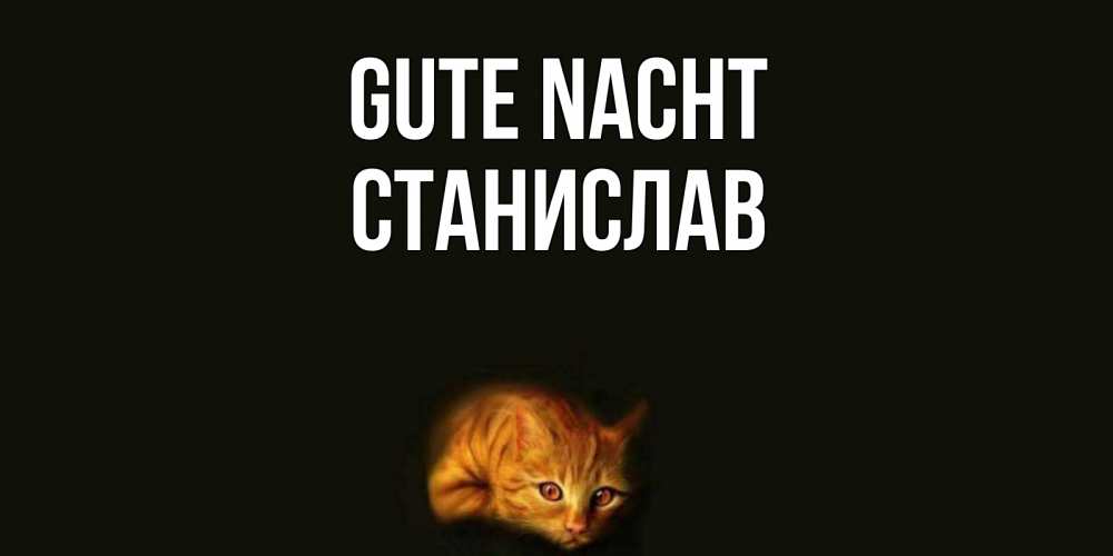 Открытка на каждый день с именем, Станислав Gute Nacht кот Прикольная открытка с пожеланием онлайн скачать бесплатно 