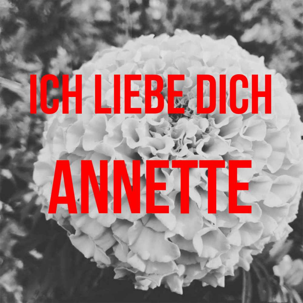 Открытка на каждый день с именем, Annette Ich liebe dich подпись Прикольная открытка с пожеланием онлайн скачать бесплатно 