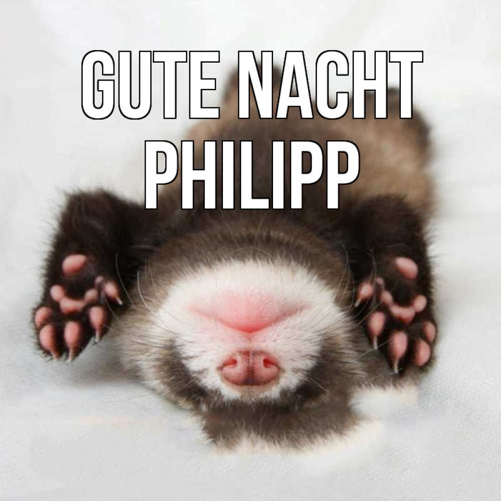 Открытка на каждый день с именем, Philipp Gute Nacht зверек Прикольная открытка с пожеланием онлайн скачать бесплатно 