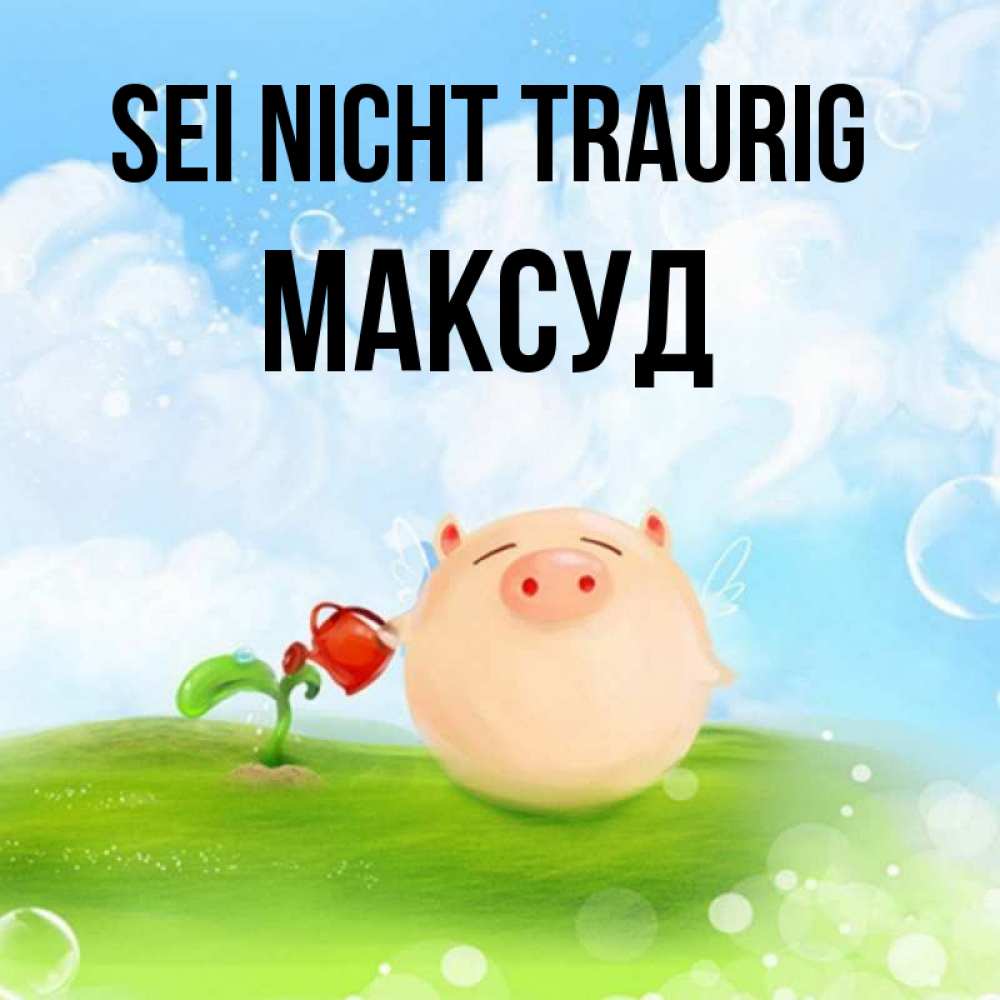 Открытка на каждый день с именем, Максуд Sei nicht traurig поливает цветок порося Прикольная открытка с пожеланием онлайн скачать бесплатно 