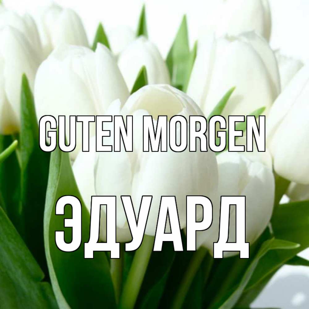 Открытка на каждый день с именем, Эдуард Guten Morgen открытки на каждый день по именам Прикольная открытка с пожеланием онлайн скачать бесплатно 