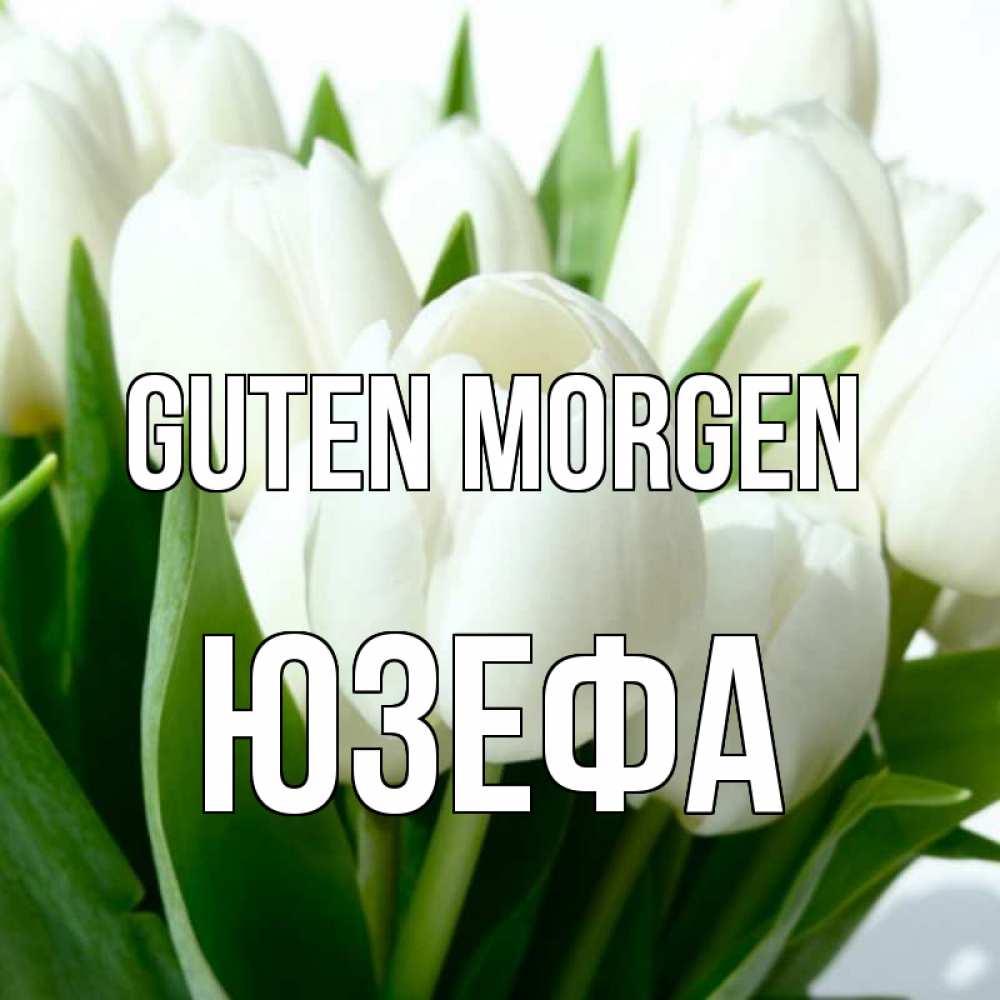Открытка на каждый день с именем, Юзефа Guten Morgen открытки на каждый день по именам Прикольная открытка с пожеланием онлайн скачать бесплатно 