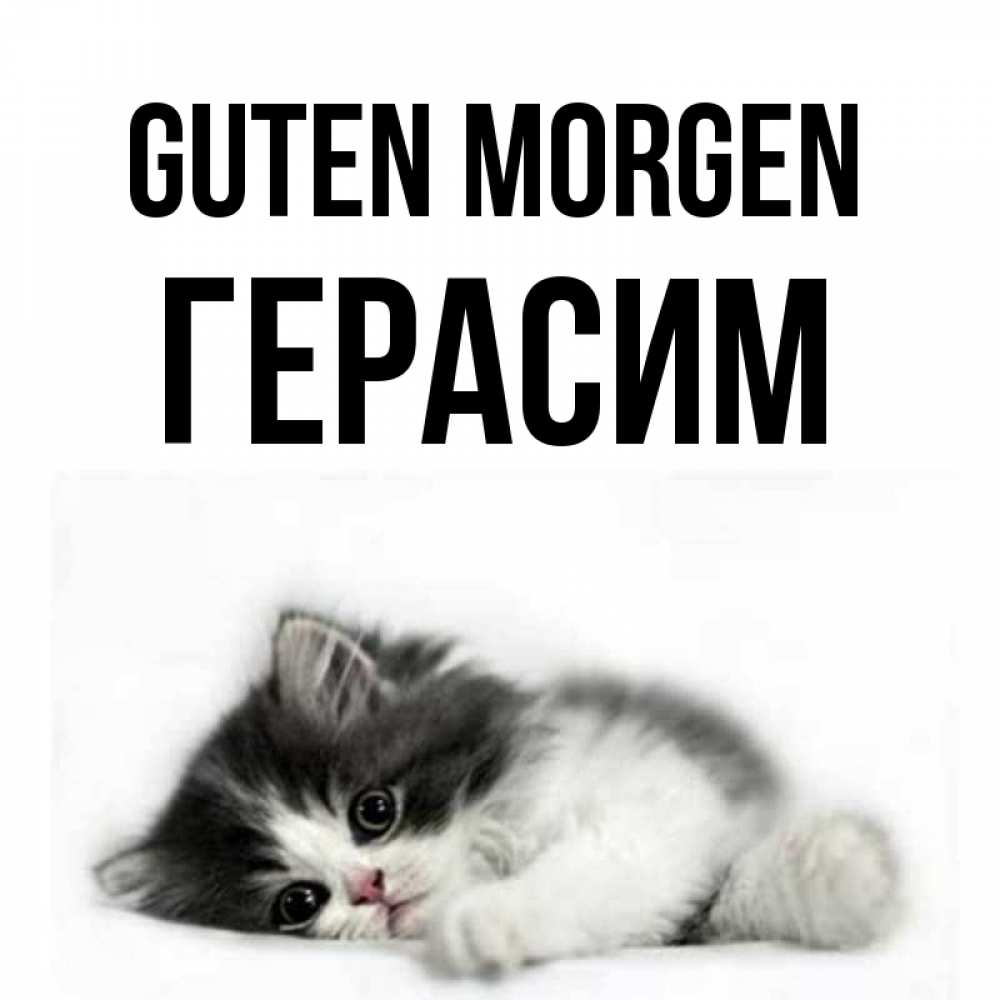 Открытка на каждый день с именем, Герасим Guten Morgen кот лапки Прикольная открытка с пожеланием онлайн скачать бесплатно 