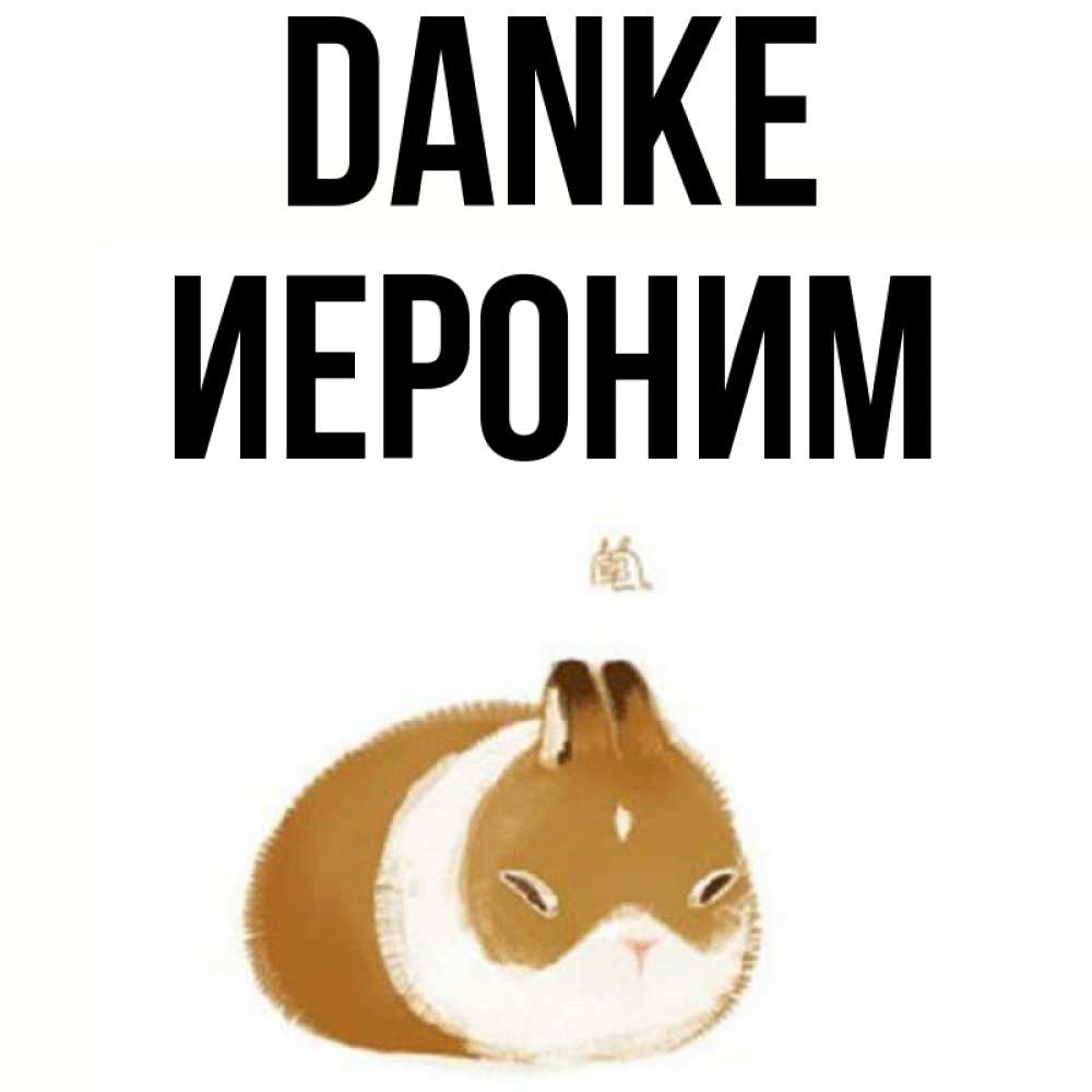 Открытка на каждый день с именем, Иероним Danke коричнево белый домашний питомец Прикольная открытка с пожеланием онлайн скачать бесплатно 