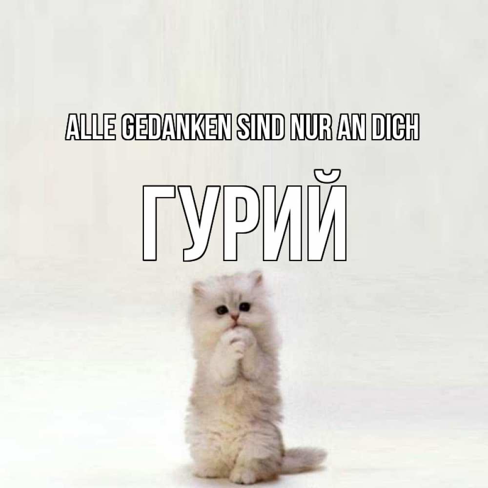 Открытка на каждый день с именем, Гурий Alle Gedanken sind nur an dich кот стоит на задних лапах Прикольная открытка с пожеланием онлайн скачать бесплатно 