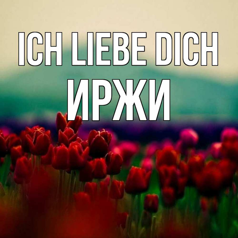 Открытка на каждый день с именем, Иржи Ich liebe dich тюльпаны 4 Прикольная открытка с пожеланием онлайн скачать бесплатно 