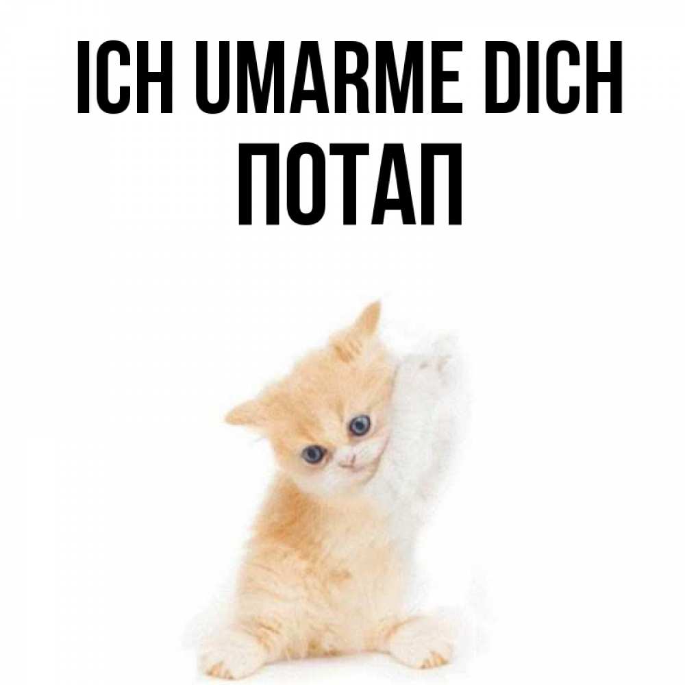 Открытка на каждый день с именем, Потап Ich umarme dich я хочу очень скорее обнимаешек Прикольная открытка с пожеланием онлайн скачать бесплатно 