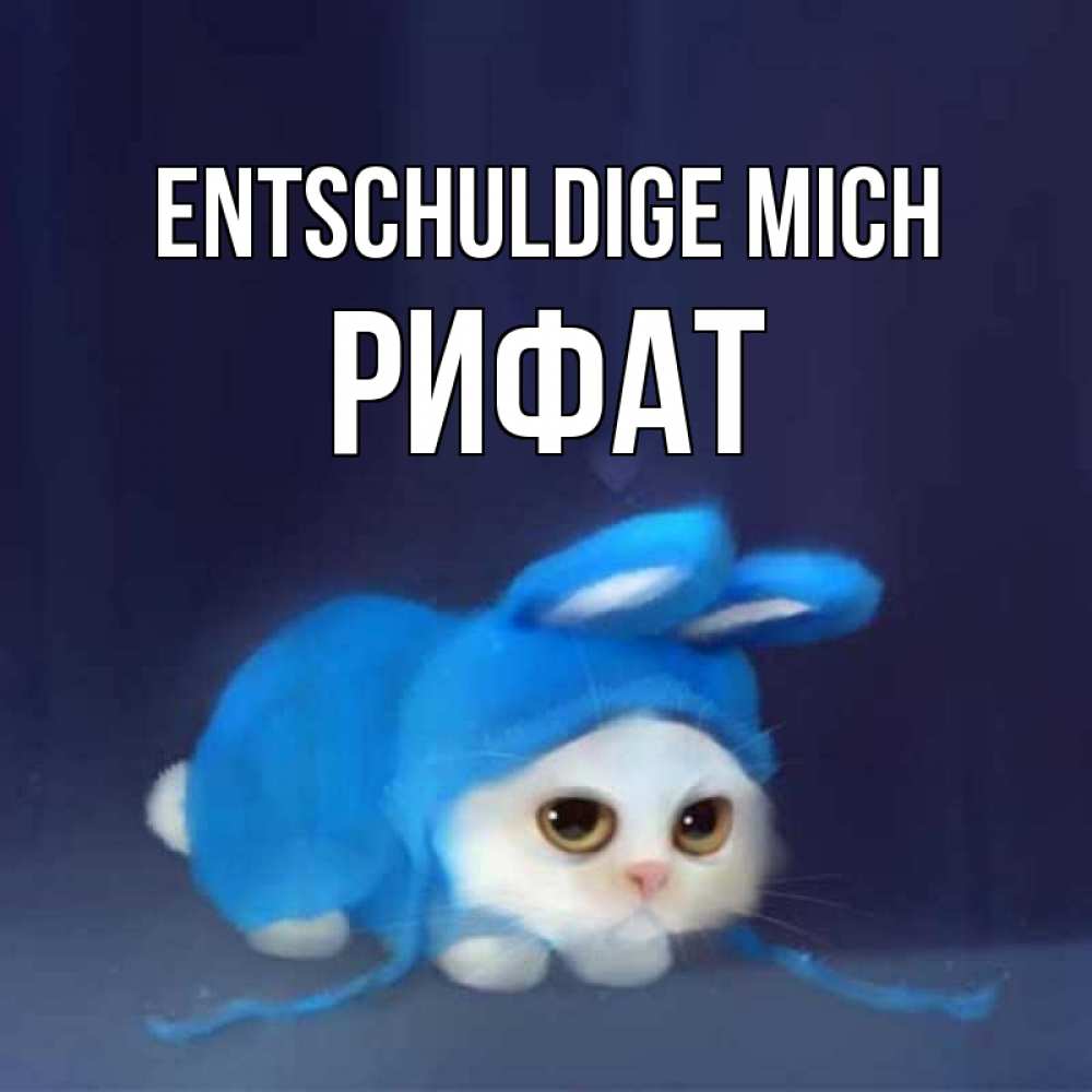 Открытка на каждый день с именем, Рифат Entschuldige mich невинный котозай просит прощения Прикольная открытка с пожеланием онлайн скачать бесплатно 