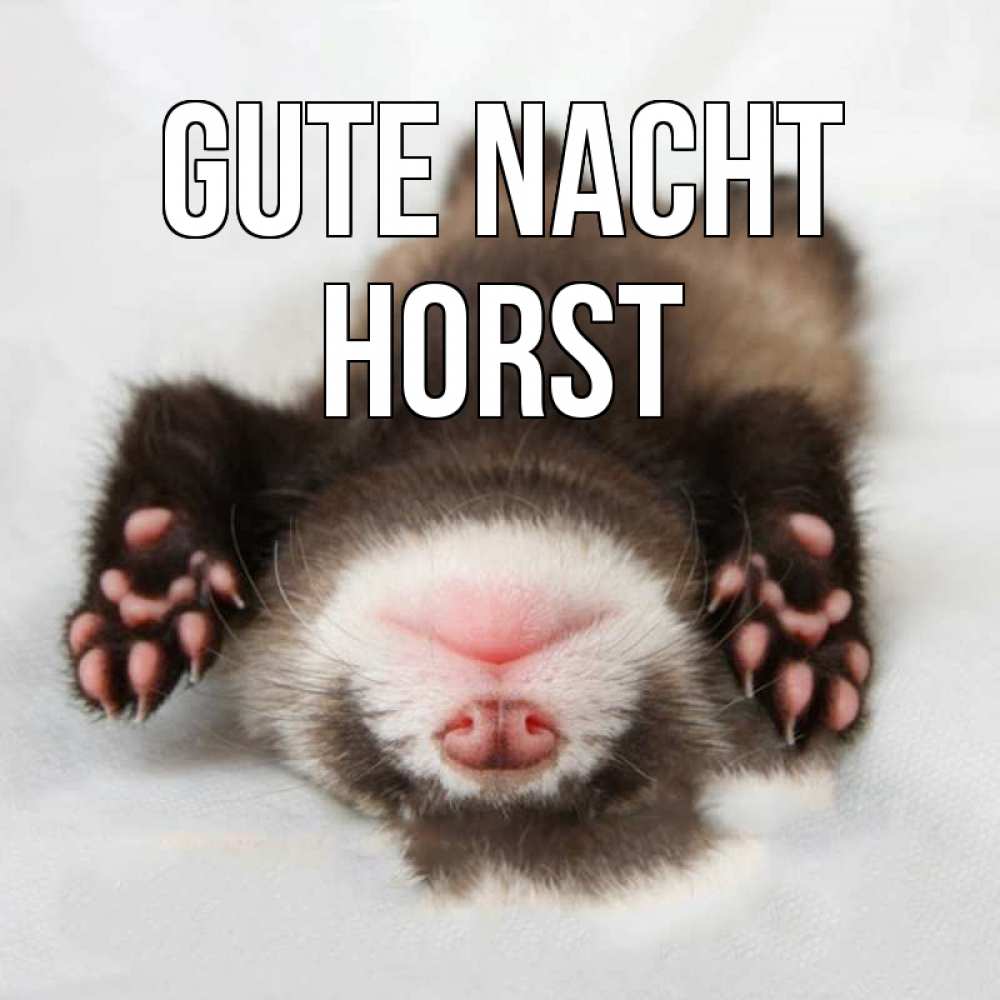 Открытка на каждый день с именем, Horst Gute Nacht зверек Прикольная открытка с пожеланием онлайн скачать бесплатно 