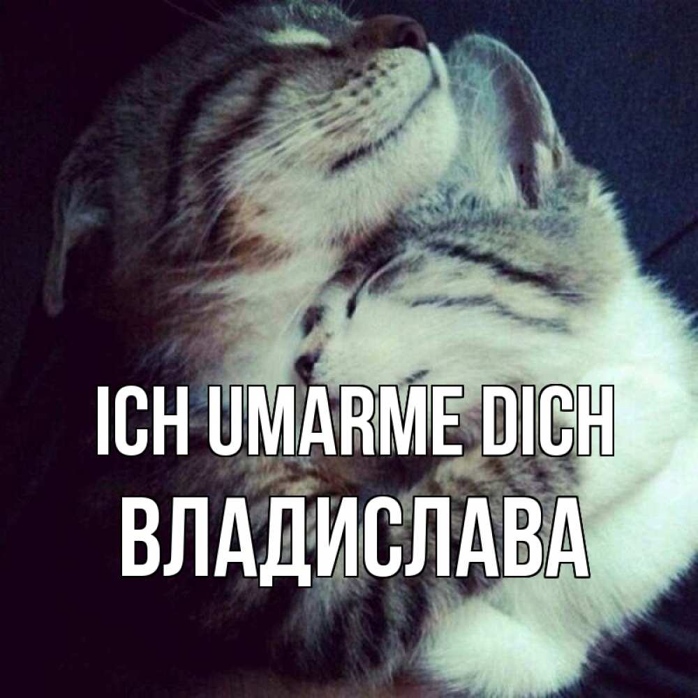Открытка на каждый день с именем, Владислава Ich umarme dich полосатики Прикольная открытка с пожеланием онлайн скачать бесплатно 
