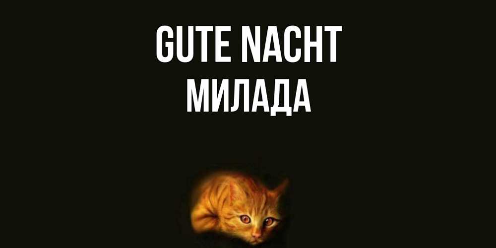 Открытка на каждый день с именем, Милада Gute Nacht кот Прикольная открытка с пожеланием онлайн скачать бесплатно 