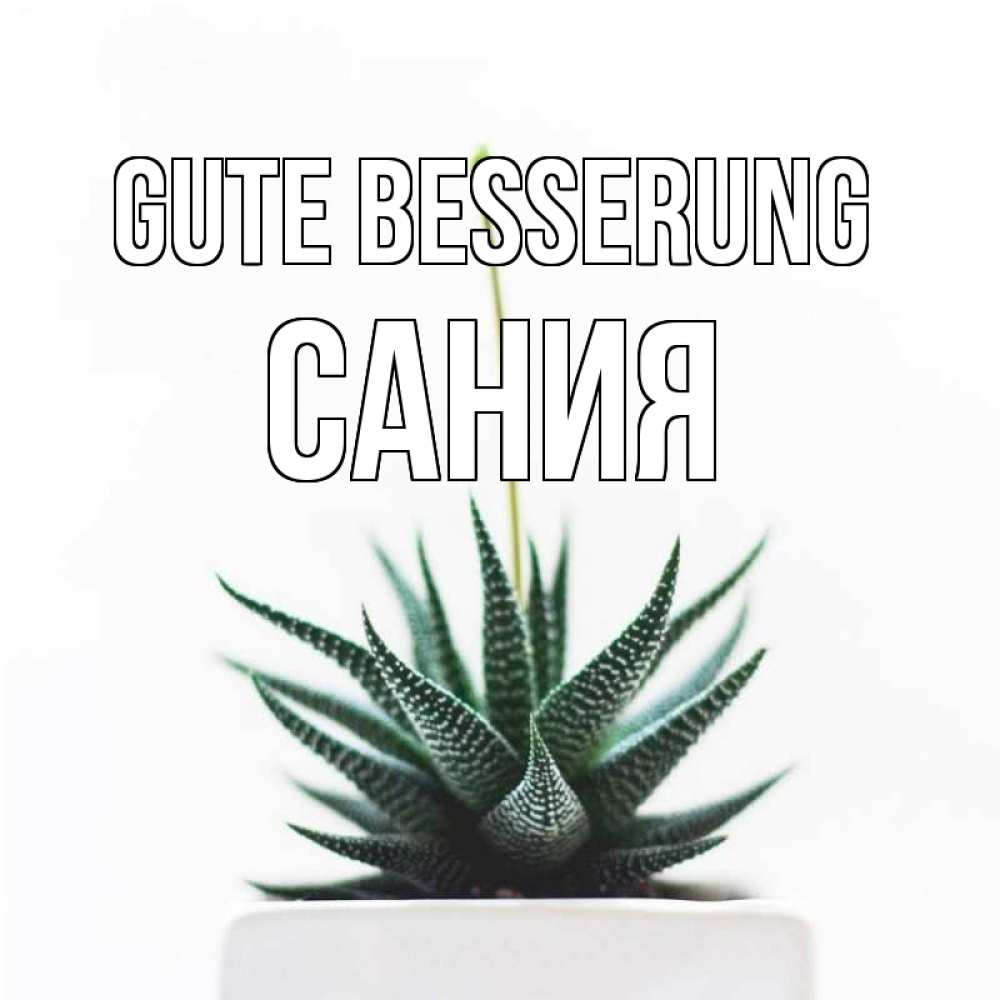 Открытка на каждый день с именем, Сания Gute Besserung короче это непонятная колючка Прикольная открытка с пожеланием онлайн скачать бесплатно 