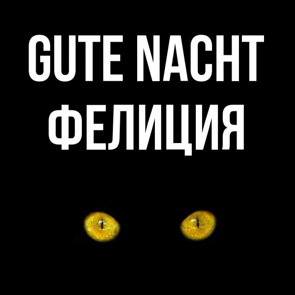 Открытка на каждый день с именем, Фелиция Gute Nacht сладких снов бесстрашный мой дружочек Прикольная открытка с пожеланием онлайн скачать бесплатно 