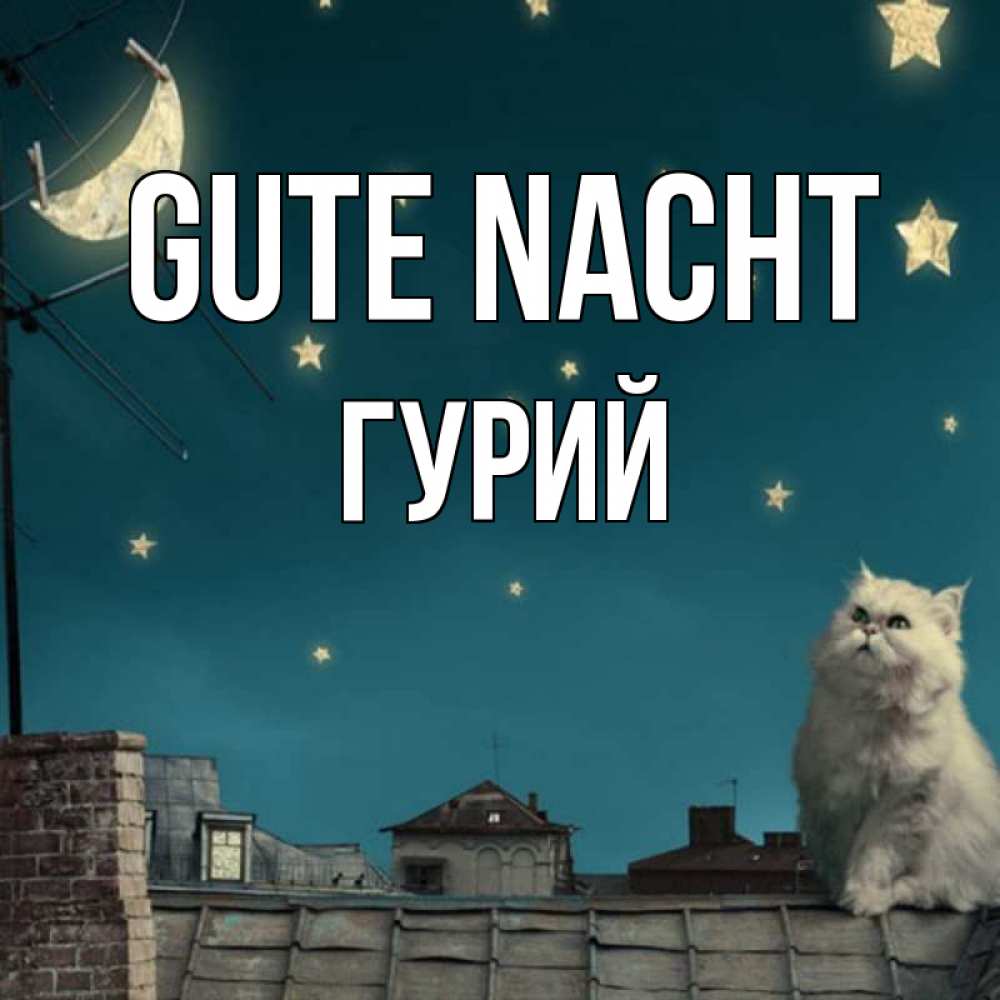 Открытка на каждый день с именем, Гурий Gute Nacht белый кот сидит на крыше Прикольная открытка с пожеланием онлайн скачать бесплатно 