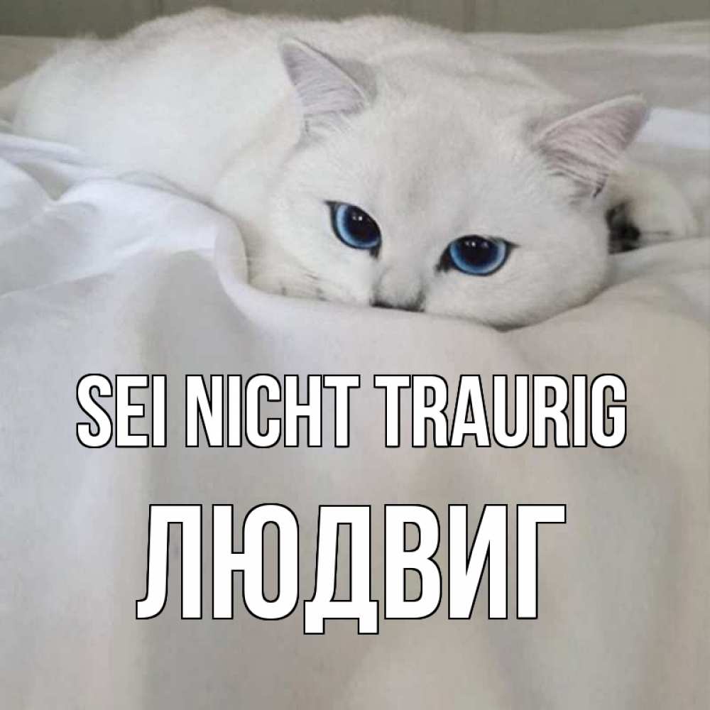 Открытка на каждый день с именем, Людвиг Sei nicht traurig белый кот с голубыми глазами на белоснежной кровати Прикольная открытка с пожеланием онлайн скачать бесплатно 