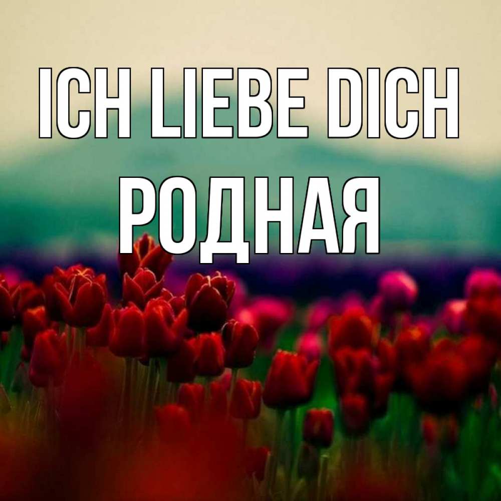 Открытка на каждый день с именем, Родная Ich liebe dich тюльпаны 4 Прикольная открытка с пожеланием онлайн скачать бесплатно 