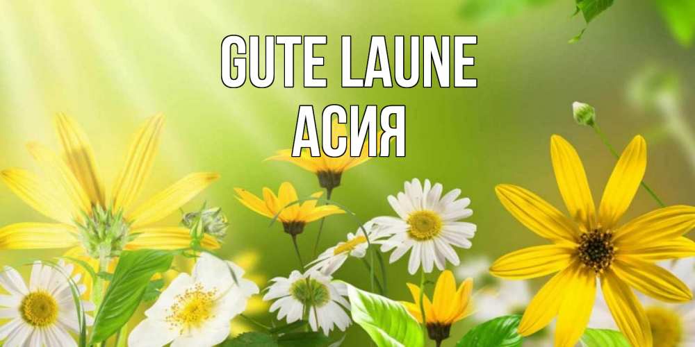 Открытка на каждый день с именем, Асия Gute Laune цветы Прикольная открытка с пожеланием онлайн скачать бесплатно 