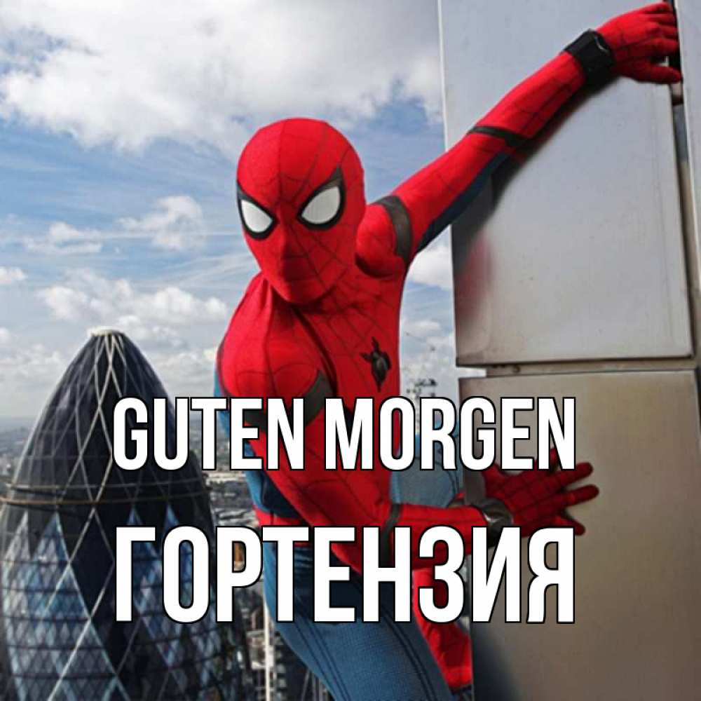 Открытка на каждый день с именем, Гортензия Guten Morgen марвел герои Прикольная открытка с пожеланием онлайн скачать бесплатно 