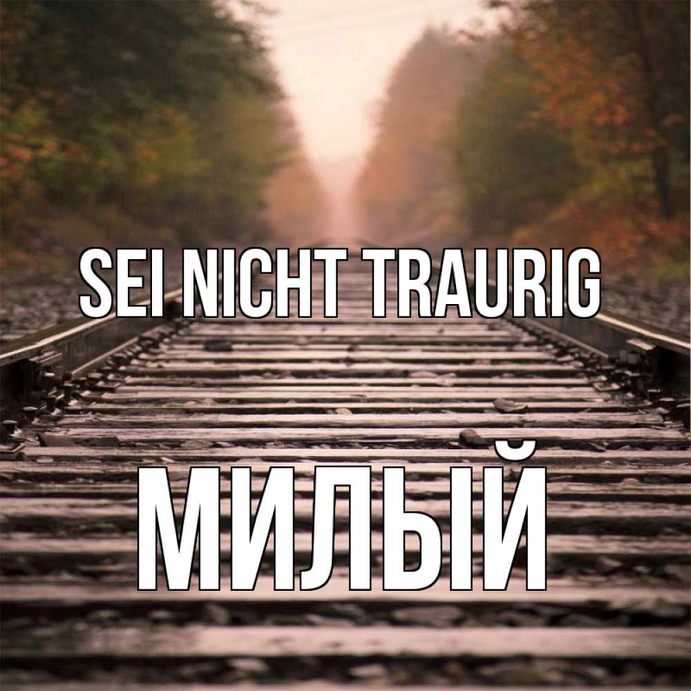 Открытка на каждый день с именем, Милый Sei nicht traurig лес и железная дорога Прикольная открытка с пожеланием онлайн скачать бесплатно 