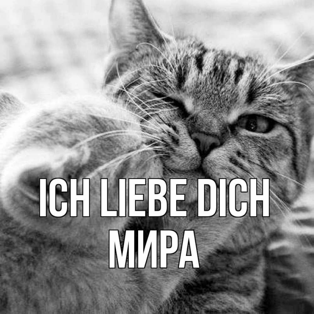 Открытка на каждый день с именем, Мира Ich liebe dich коты Прикольная открытка с пожеланием онлайн скачать бесплатно 