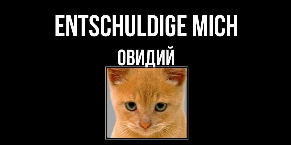 Открытка на каждый день с именем, Овидий Entschuldige mich рыжий грустный кот просит прощения Прикольная открытка с пожеланием онлайн скачать бесплатно 