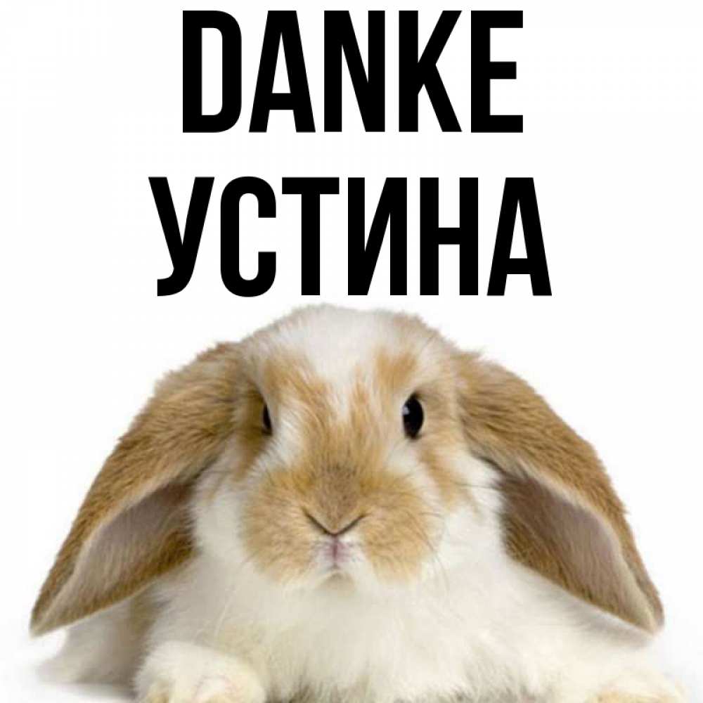 Открытка на каждый день с именем, Устина Danke коричнево белый заяц Прикольная открытка с пожеланием онлайн скачать бесплатно 