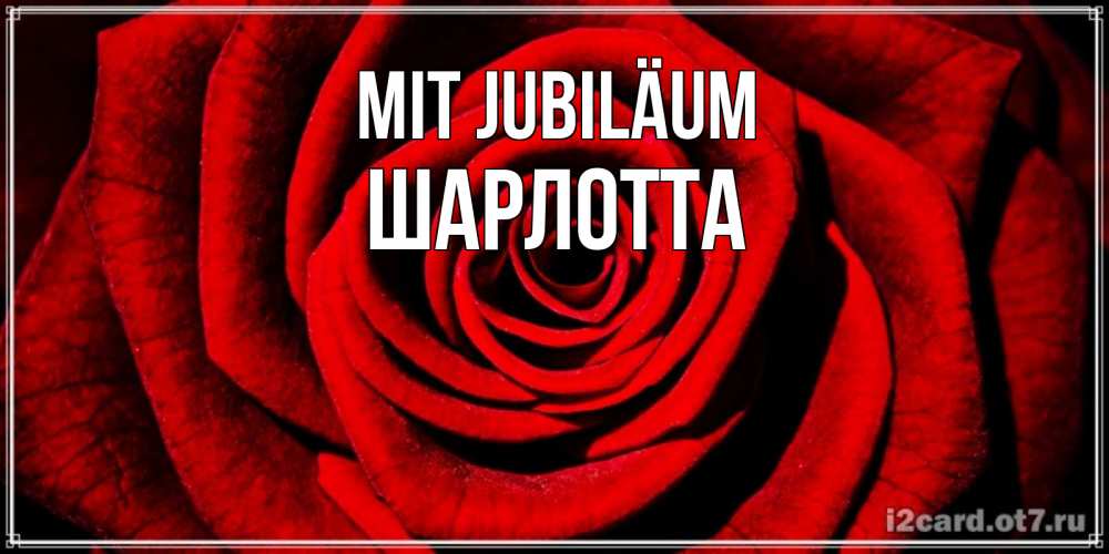 Открытка на каждый день с именем, Шарлотта Mit Jubiläum алая роза Прикольная открытка с пожеланием онлайн скачать бесплатно 